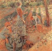 Camille Pissarro Apple picking USA oil painting artist
